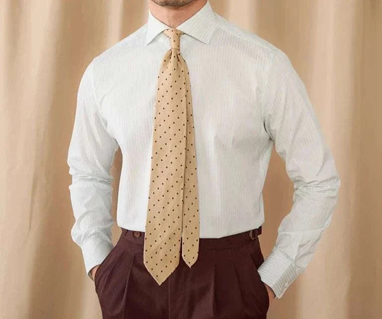 Business slim fit long sleeve premium shirt for men in a professional setting.