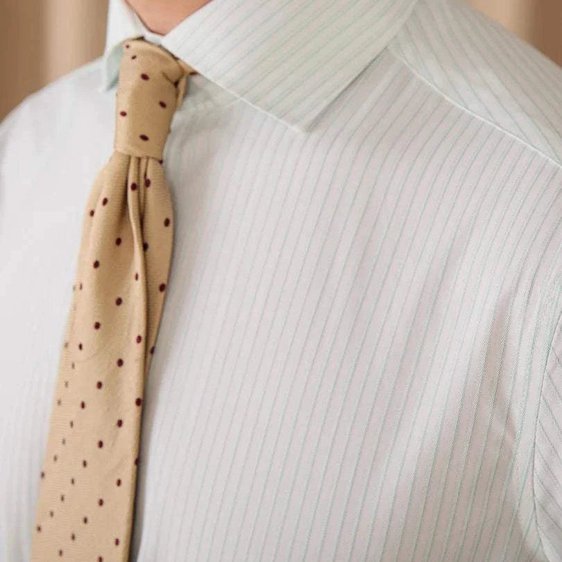 Business slim fit long sleeve premium shirt displaying elegant design with a light striped pattern and stylish tie.