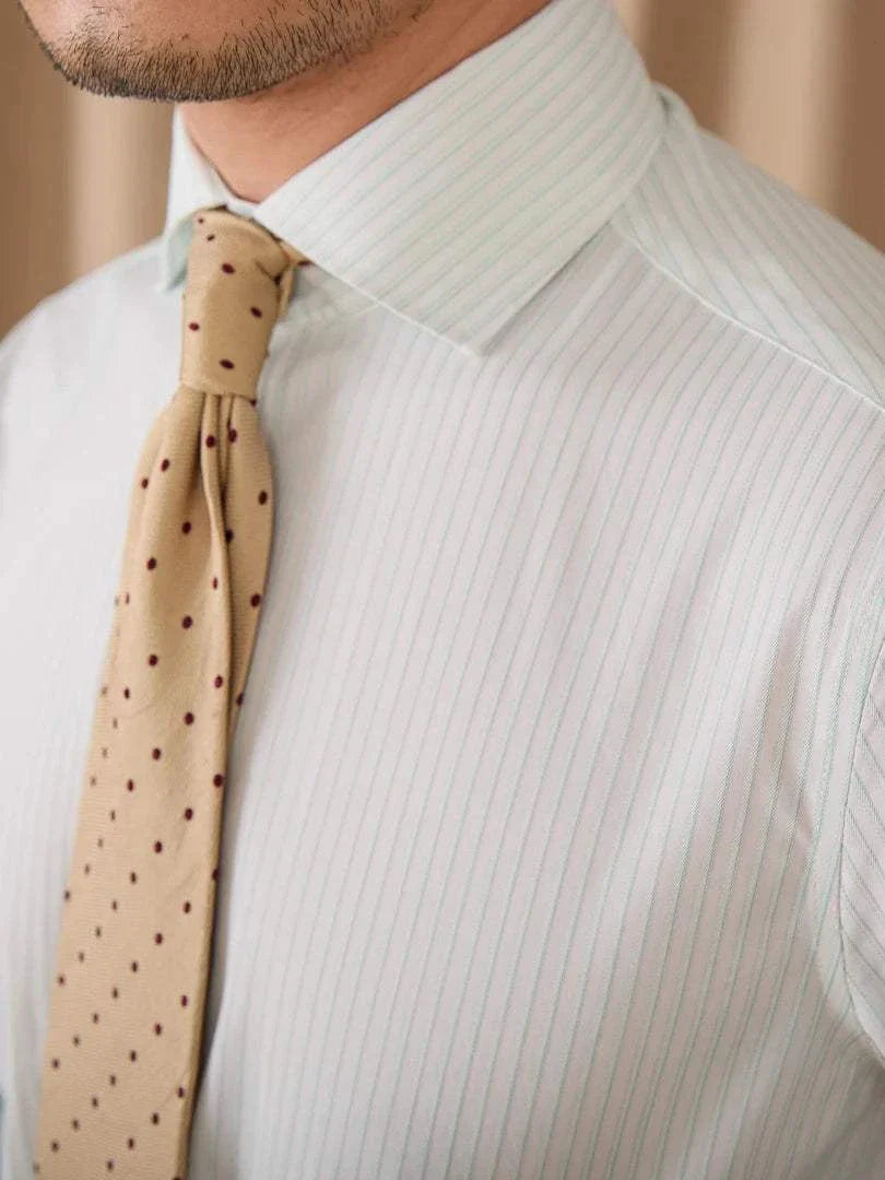 Business slim fit long sleeve premium shirt displaying elegant design with a light striped pattern and stylish tie.