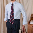 Oxford style casual cotton shirt - Antonios